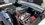 IMG_6345.jpeg
