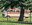 IMG_20240531_124314330~2.jpg