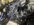 IMG_4235.jpeg