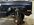 IMG_8434.jpeg