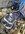 IMG_1950.jpeg