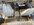 IMG_4273.jpeg