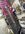 IMG_8723.jpeg