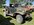 IMG_7847.jpeg