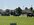 IMG_7834.jpeg