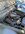 IMG_7843.jpeg