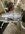 IMG_7962.jpeg