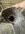 IMG_7963.jpeg