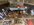 IMG_7961.jpeg