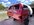 IMG_8736.jpeg