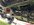 IMG_7914.jpeg