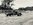 IMG_7900.jpeg