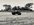 IMG_7896.jpeg