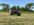 IMG_7897.jpeg