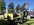 IMG_7887.jpeg
