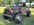 IMG_7886.jpeg