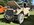 IMG_7868.jpeg