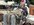 IMG_7939.jpeg