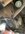 IMG_8333.jpeg