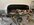 IMG_8338.jpeg