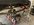 IMG_8351.jpeg