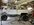 IMG_8354.jpeg