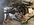 IMG_8355.jpeg