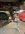 IMG_8371.jpeg