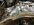 IMG_4521.jpeg