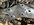 IMG_4527.jpeg