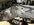 IMG_4530.jpeg