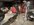 IMG_8376.jpeg