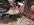 IMG_8375.jpeg