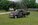 IMG_20240611_145017090~2.jpg