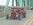 IMG_20240611_140234773_BURST006~2.jpg