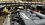 IMG_8986.jpeg