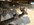 IMG_8380.jpeg