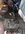 IMG_2149.jpeg