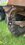 IMG_4910.jpeg