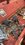 IMG_4908.jpeg