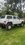 IMG_4911.jpeg