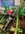 57011.jpeg