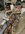 IMG_8388.jpeg