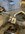 IMG_8389.jpeg