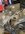 IMG_8392.jpeg