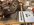 IMG_2016.jpeg