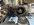 IMG_2018.jpeg