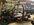 IMG_0072.jpeg