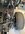 IMG_0657.jpeg