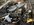 IMG_0735.jpeg